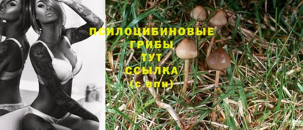 COCAINE Армянск
